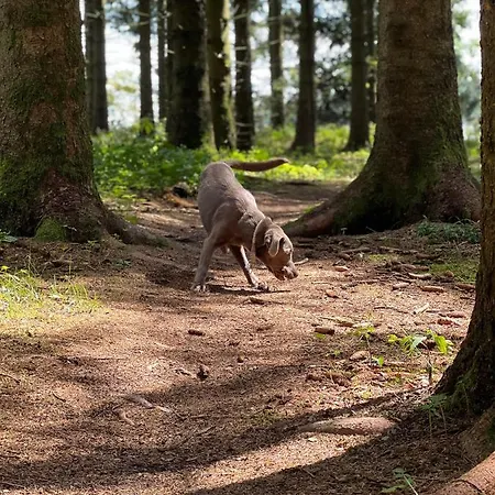 Auszeit Bergliebe Apartament *