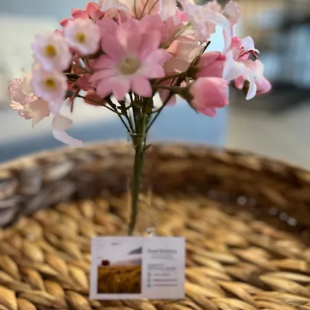 Auszeit Bergliebe Διαμέρισμα *